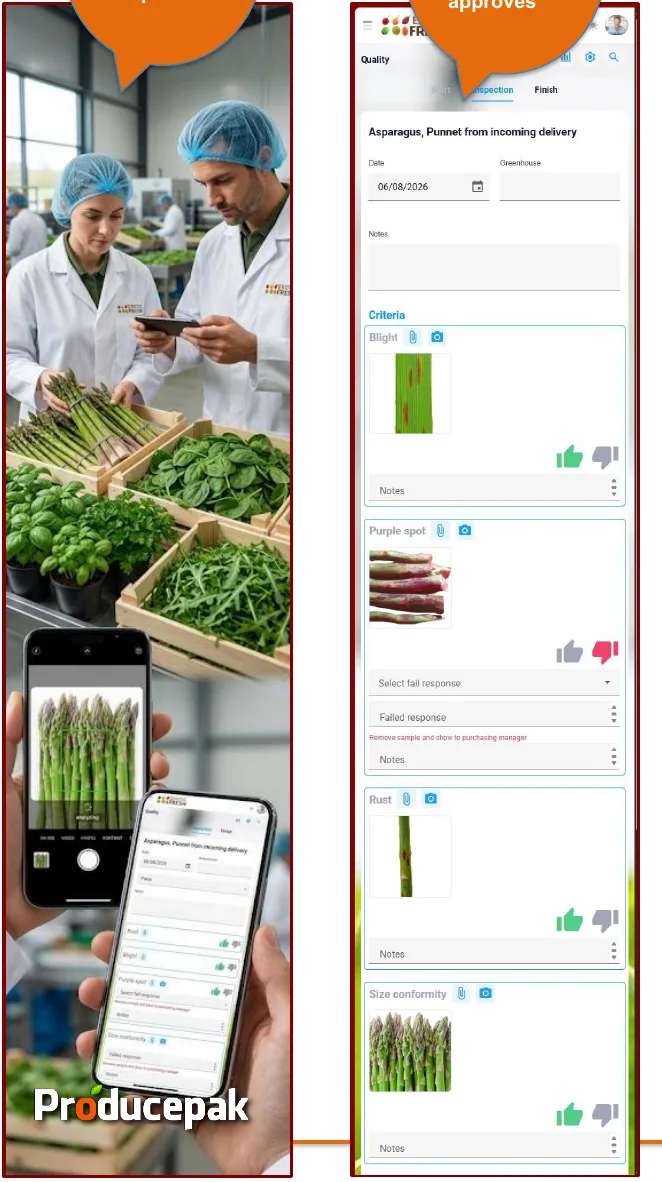 Producepak AI quality inspection: photographing asparagus, AI filling in blight, purple spot and rust criteria, and the finished pass result