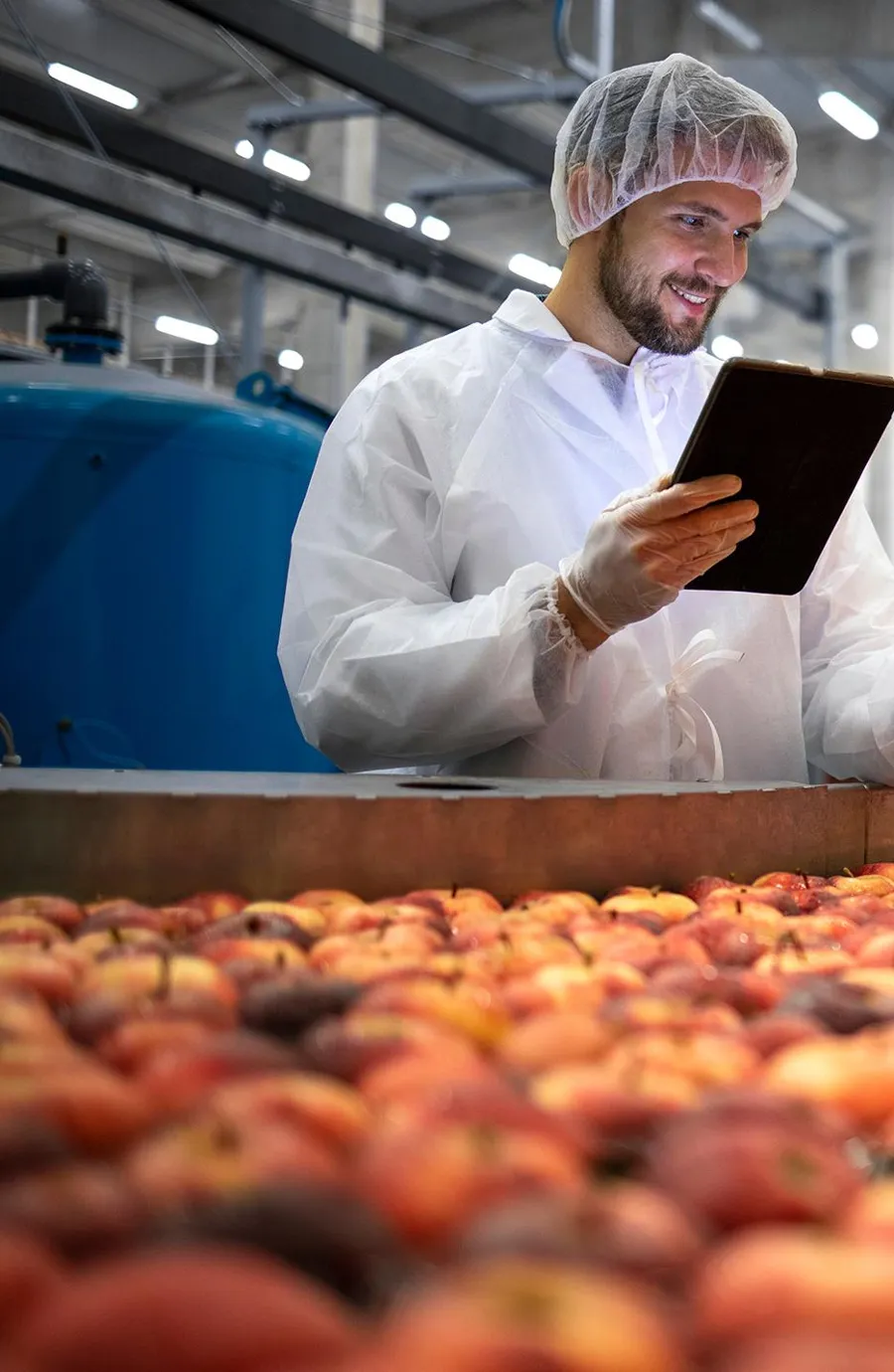 Food safety worker checking fruit quality on a tablet above a conveyor of apples